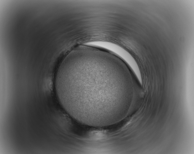 X0000088690595200706071521