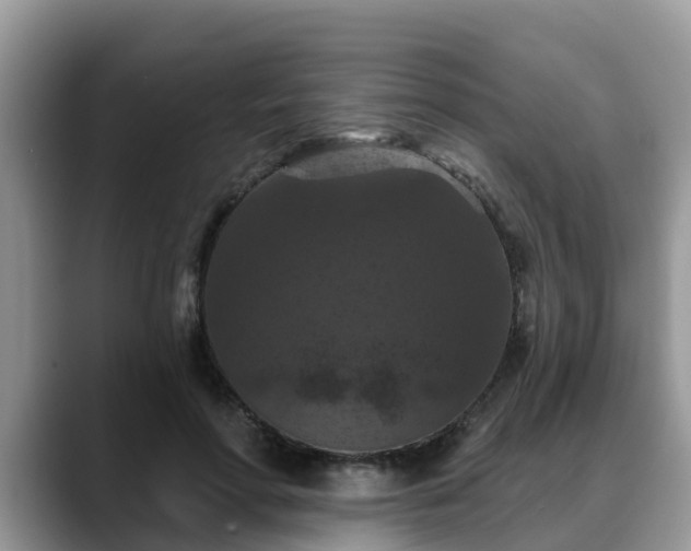 X0000088690598200706071521