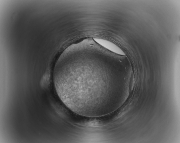 X0000088690600200706071521