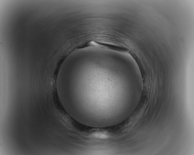 X0000088690601200706071521