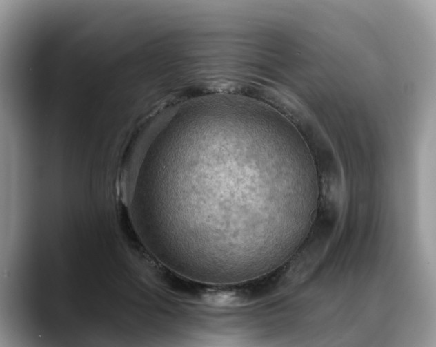 X0000088690602200706071521