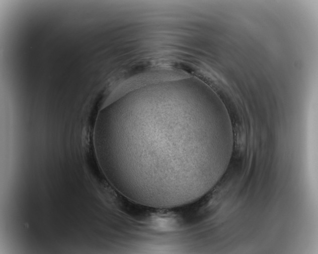 X0000088690603200706071521