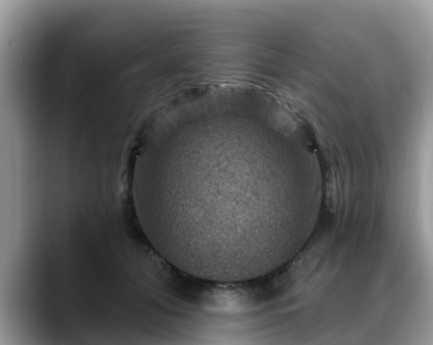 X0000088690608200706071521