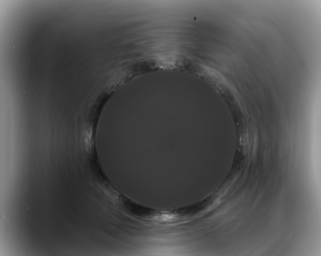 X0000088690610200706071521
