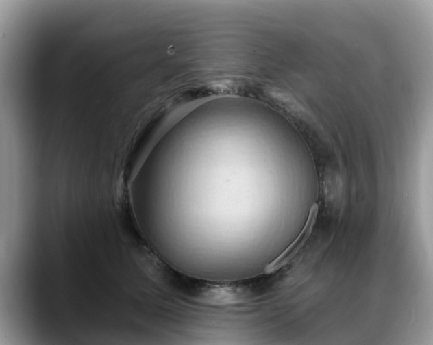 X0000088690611200706071521
