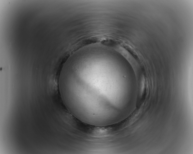 X0000088690613200706071521