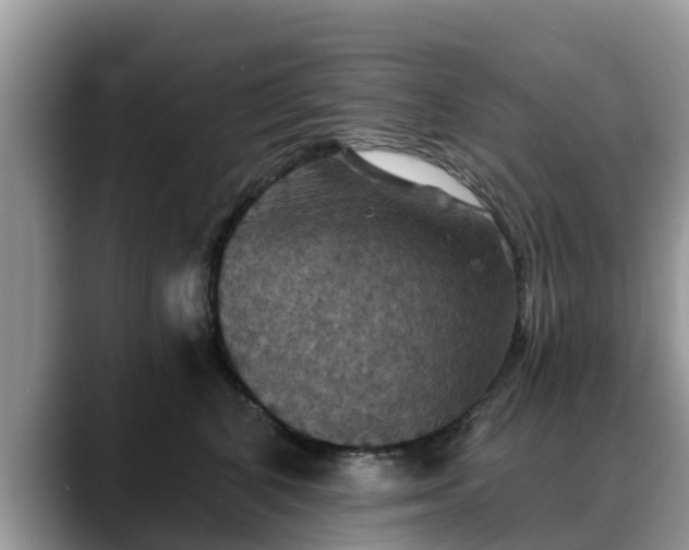 X0000088690616200706071521