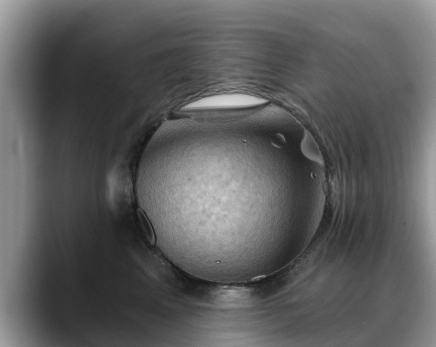 X0000088690617200706071521