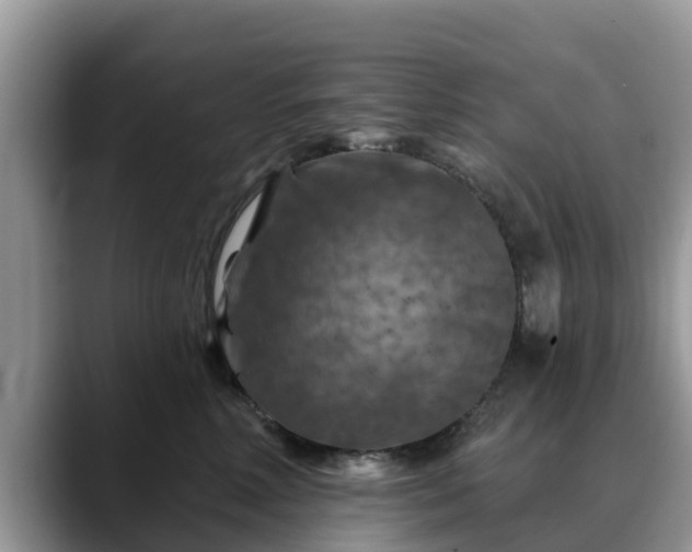 X0000088690618200706071521