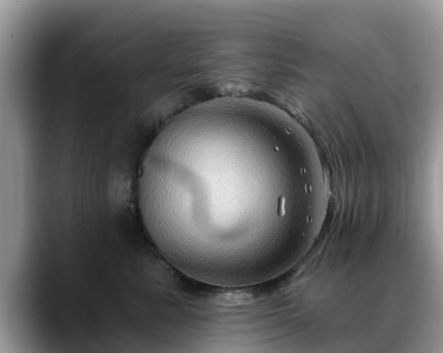 X0000088690619200706071521
