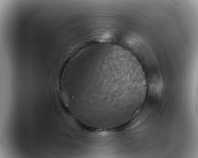 X0000088690620200706071521