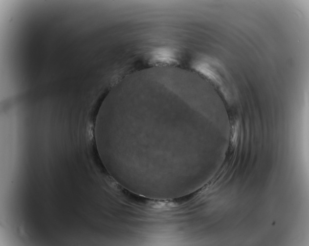 X0000088690621200706071521