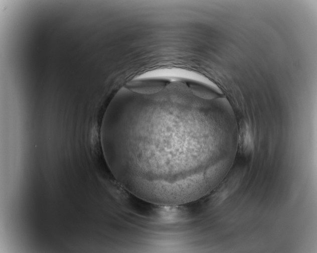 X0000088690623200706071521
