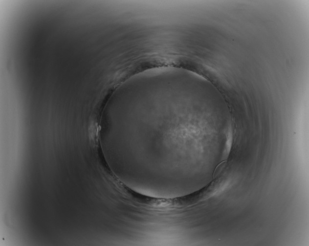 X0000088690624200706071521