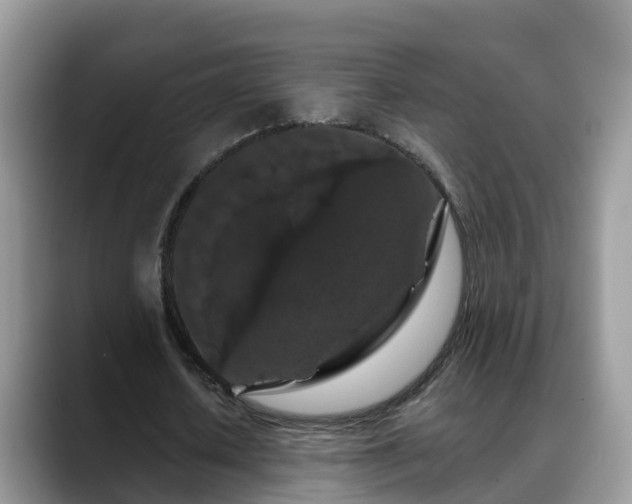 X0000088690626200706071520