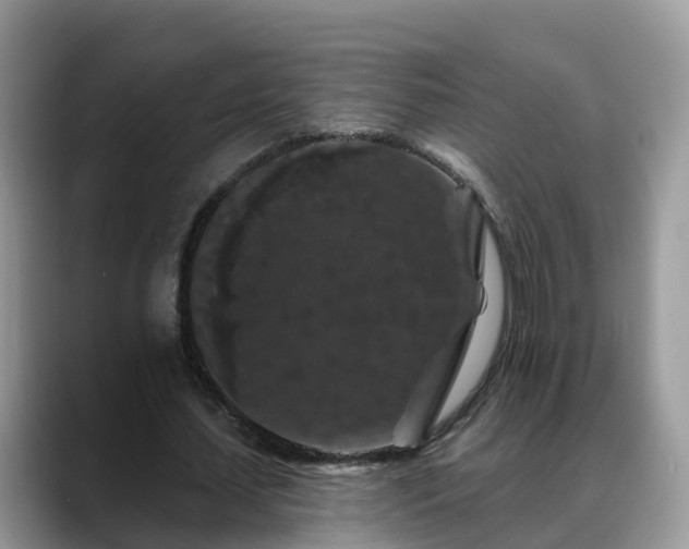 X0000088690627200706071520