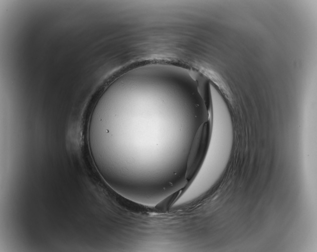 X0000088690628200706071520