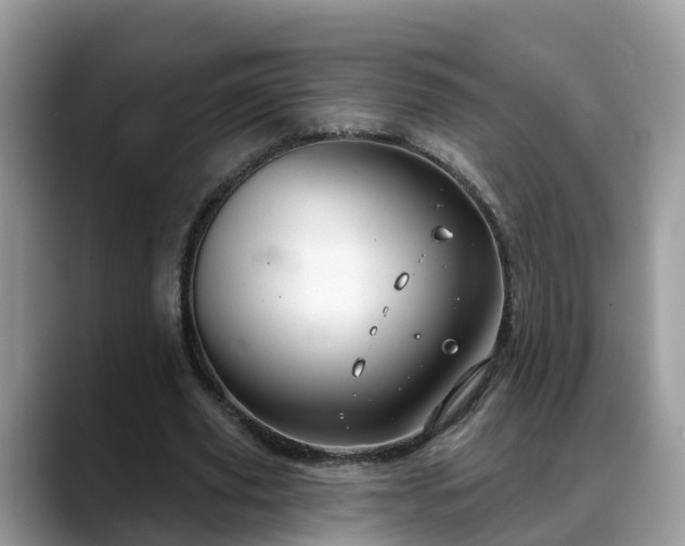 X0000088690629200706071520