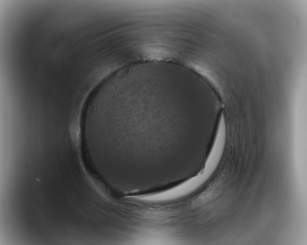 X0000088690630200706071520