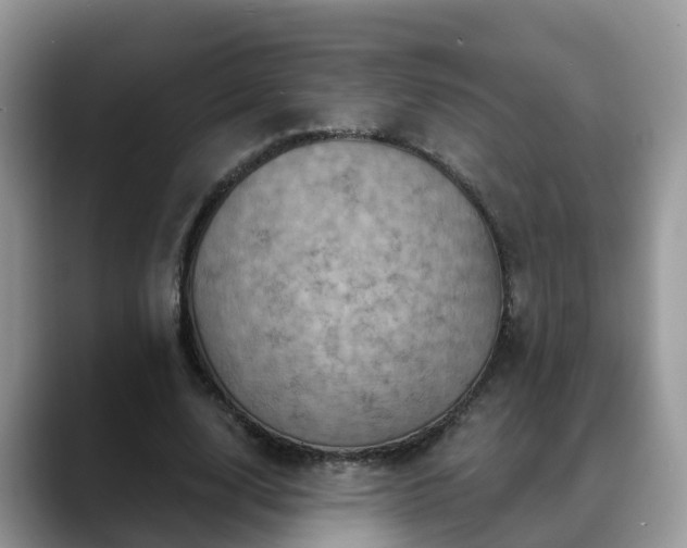 X0000088690632200706071520