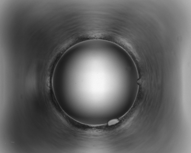X0000088690633200706071520