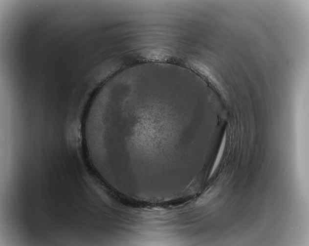 X0000088690634200706071520