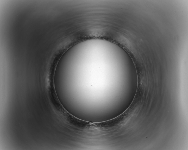 X0000088690635200706071520