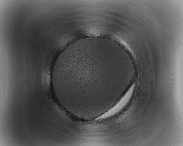 X0000088690637200706071520