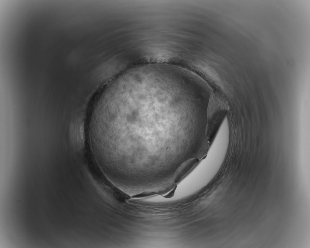 X0000088690638200706071520