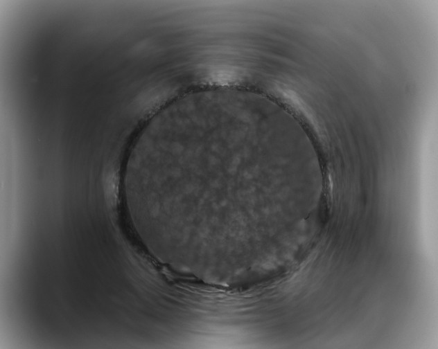 X0000088690640200706071520