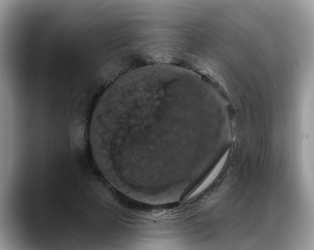 X0000088690641200706071520