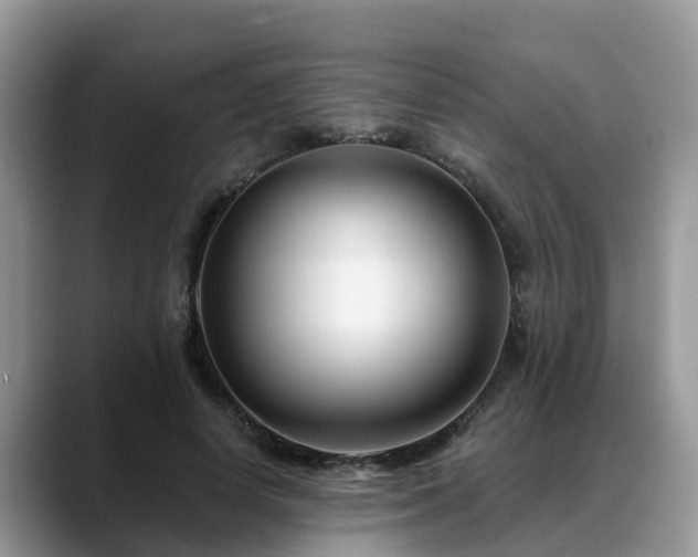 X0000088690642200706071520