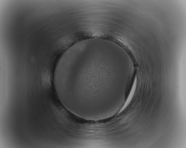X0000088690643200706071520