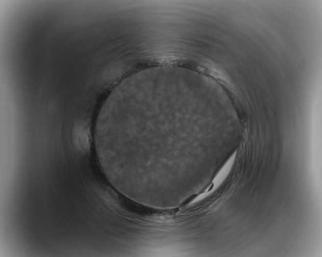 X0000088690644200706071520