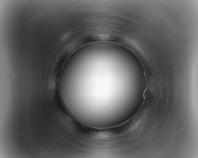 X0000088690645200706071520