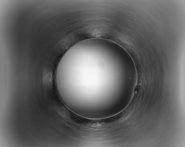 X0000088690646200706071520