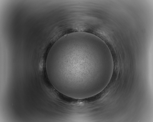 X0000088690647200706071520