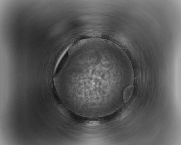 X0000088690649200706071520