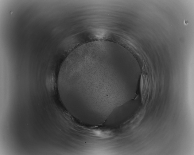 X0000088690651200706071520
