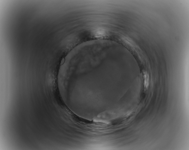 X0000088690653200706071520