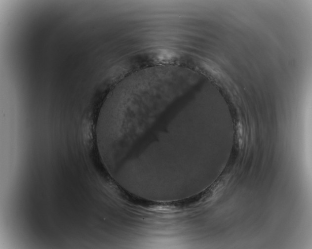 X0000088690654200706071521