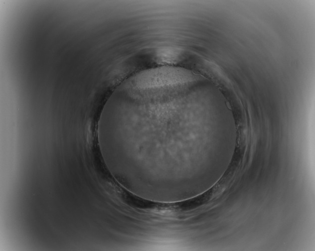 X0000088690655200706071521