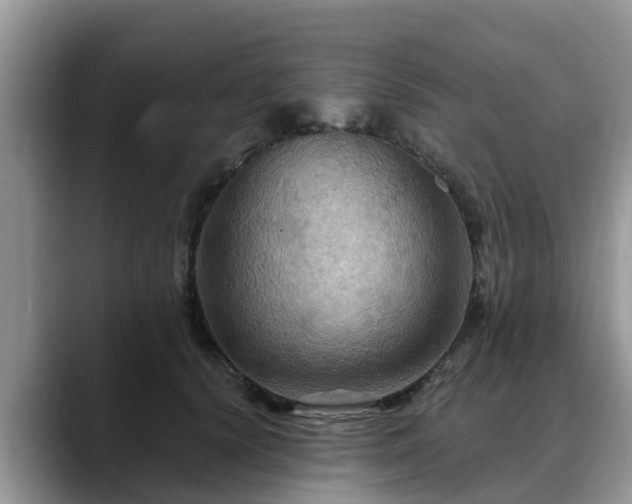 X0000088690656200706071521