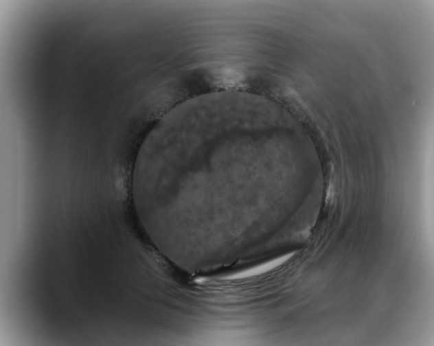 X0000088690658200706071521