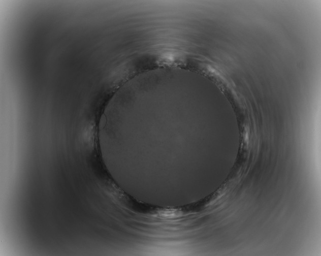 X0000088690659200706071521