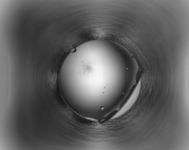 X0000088690660200706071521