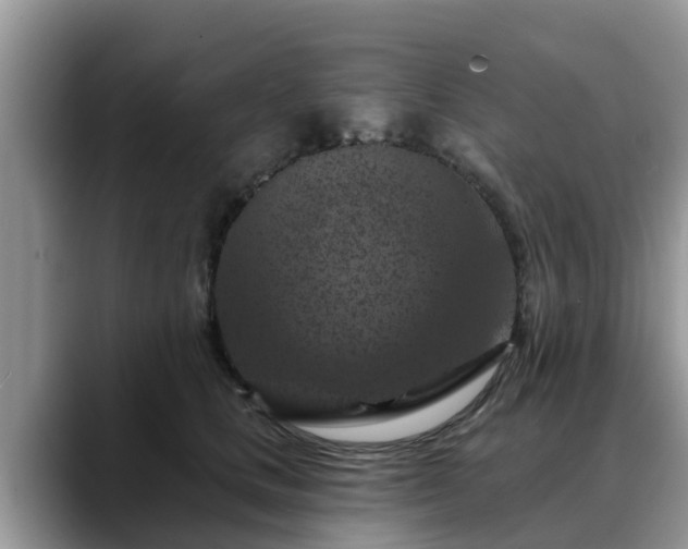 X0000088690661200706071521