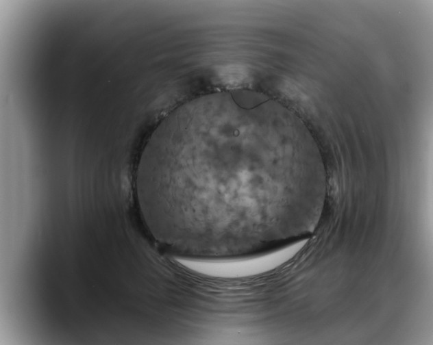 X0000088690662200706071521