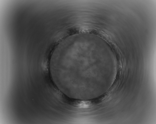 X0000088690663200706071521