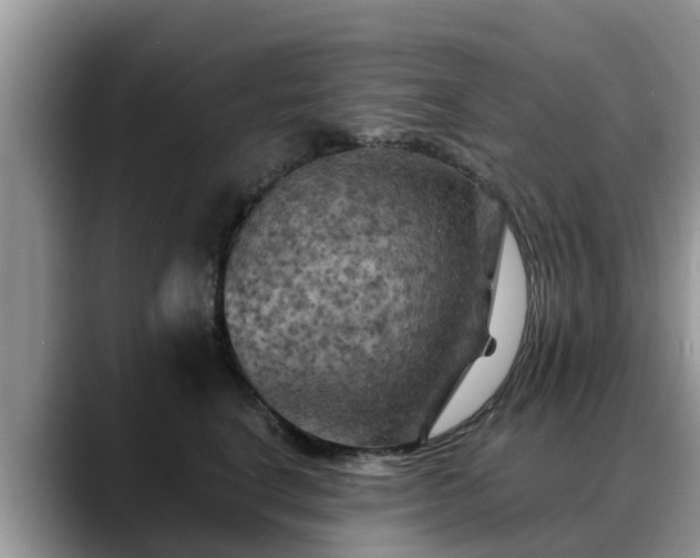 X0000088690664200706071521